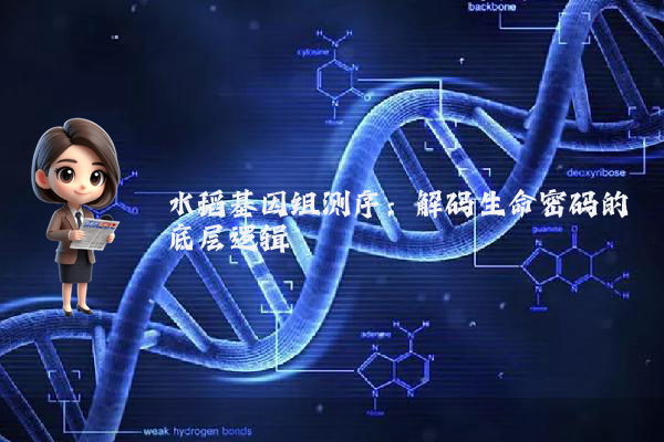 水稻基因组测序:解码生命密码的底层逻辑
